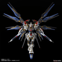 MGEX 1/100 STRIKE FREEDOM GUNDAM gunpla