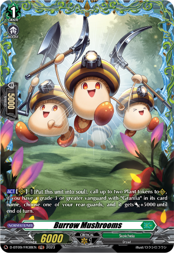 D-BT09/FR38EN Burrow Mushrooms FR