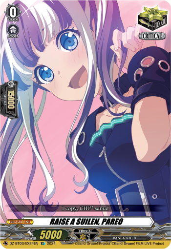 DZ-BT03/EX34EN RAISE A SUILEN, PAREO EX DZBT03