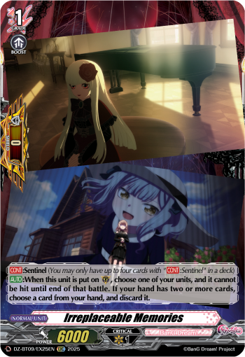 DZ-BT09/EX25EN Irreplaceable Memories EXC DZBT09