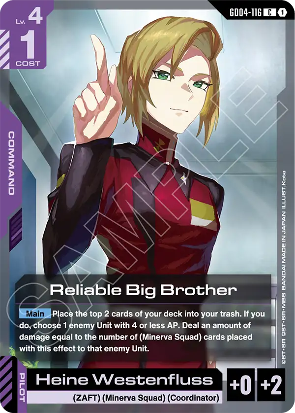 GD04-116/Reliable Big Brother C GD04