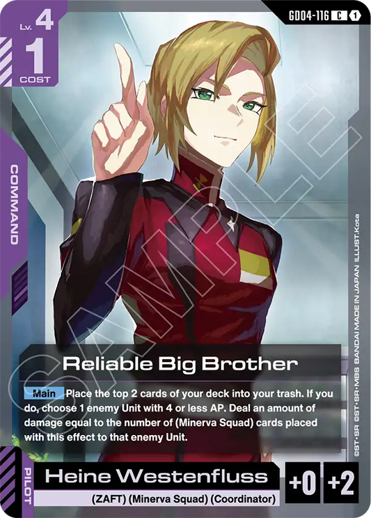 GD04-116/Reliable Big Brother C GD04