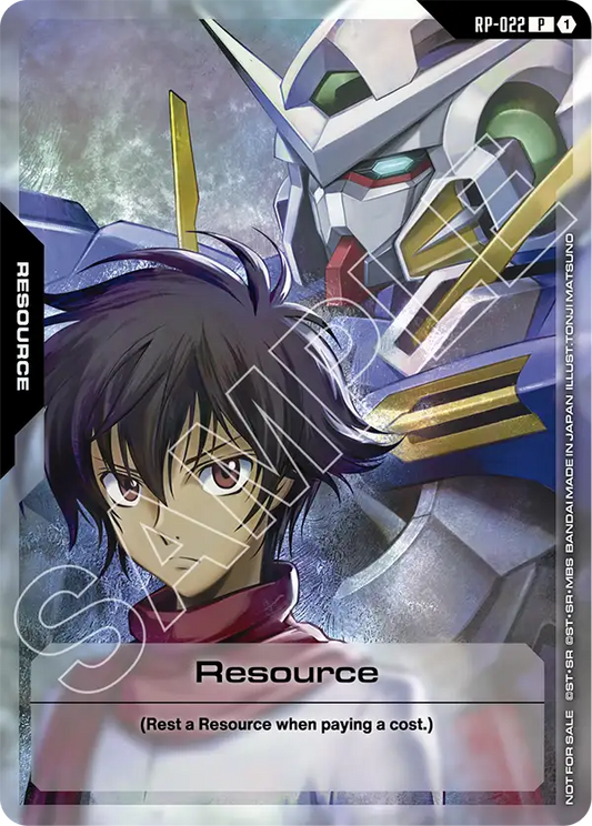 RP-022/Resource P RP