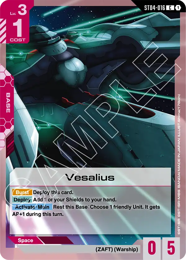 ST04-016/Vesalius C