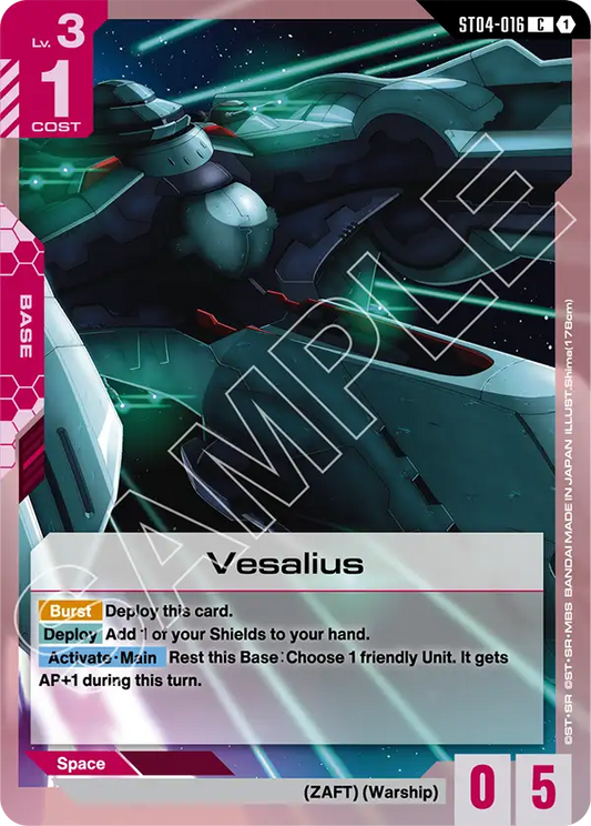 ST04-016/Vesalius C ST09