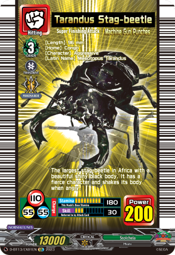 D-BT13/EX01EN Tarandus Stag-beetle EX