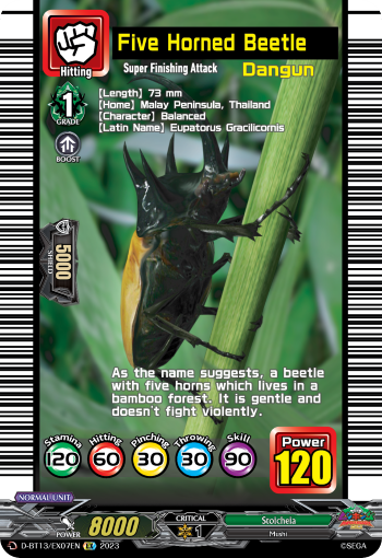 D-BT13/EX07EN Five Horned Beetle EX