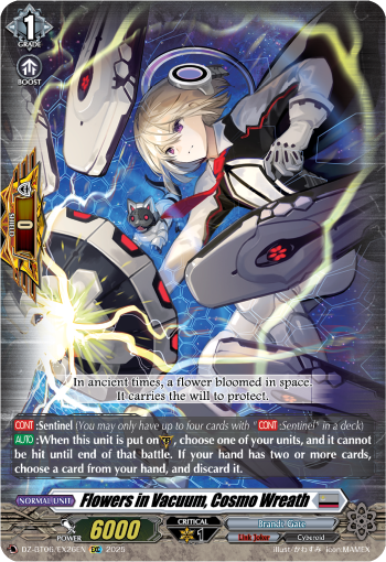 DZ-BT06/EX26EN Flowers in Vacuum, Cosmo Wreath EXC