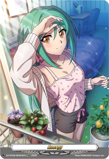 DZ-BT06/SER03EN Energy Anjou Tokoha SER