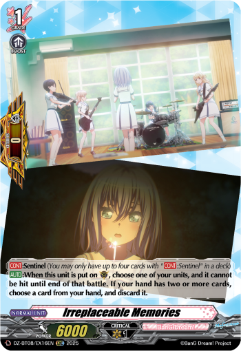 DZ-BT08/EX16EN Irreplaceable Memories EXC DZBT08