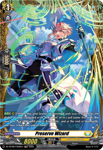 DZ-BT08/FR30EN Preserve Wizard FR DZBT08