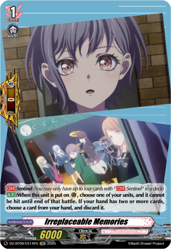 DZ-BT09/EX14EN Irreplaceable Memories EXC DZBT09