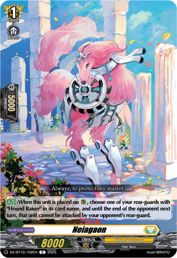 DZ-BT10/102EN Neiagaon C DZBT10