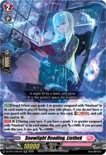 DZ-BT13/051EN Snowlight Reading, Liothek RR DZBT13