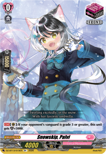 DZ-BT13/073EN Snowskip, Palvi R+ DZBT13