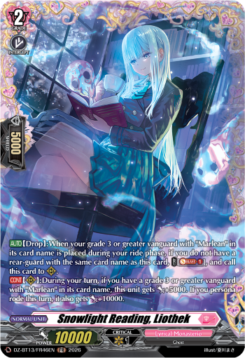 DZ-BT13/FR46EN Snowlight Reading, Liothek FR DZBT13