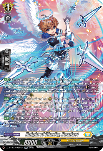 DZ-BT13/SR25EN Knight of Charity, Baadact SR DZBT13