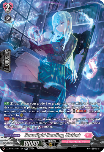 DZ-BT13/SR41EN Snowlight Reading, Liothek SR DZBT13