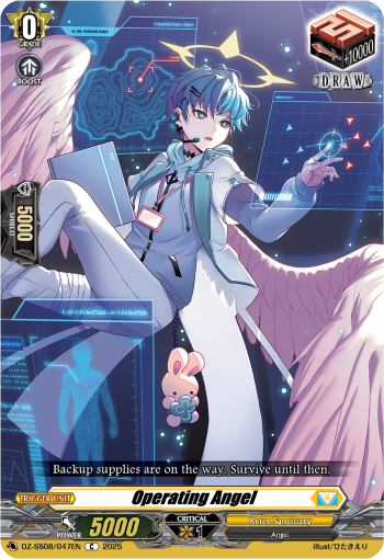 DZ-SS11/047EN Operating Angel DZSS11